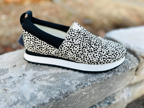 TOMS Mini Cheetah